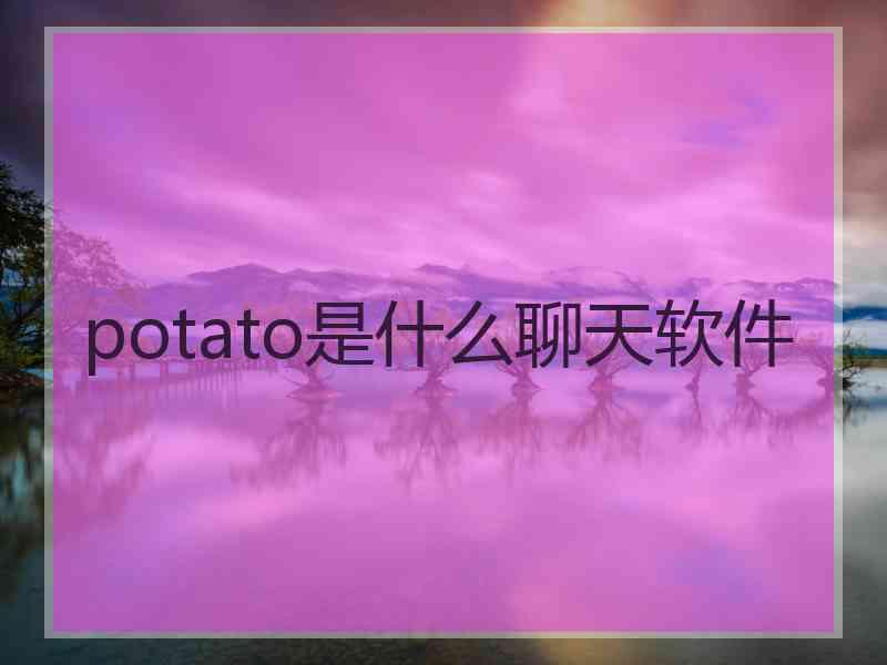 potato是什么聊天软件