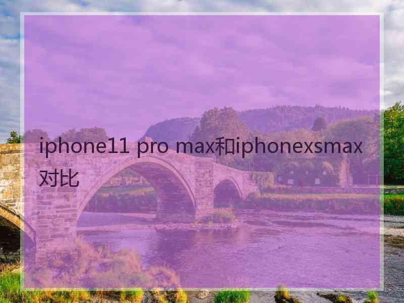 iphone11 pro max和iphonexsmax对比