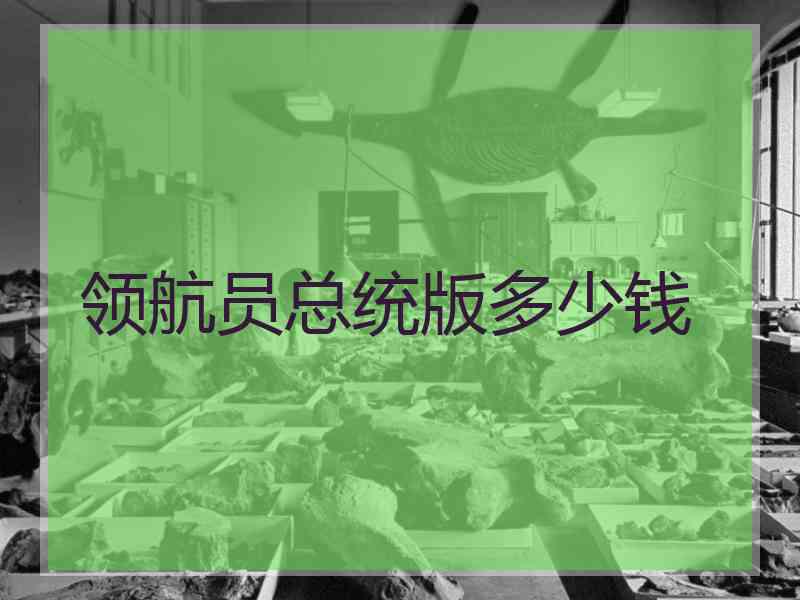 领航员总统版多少钱