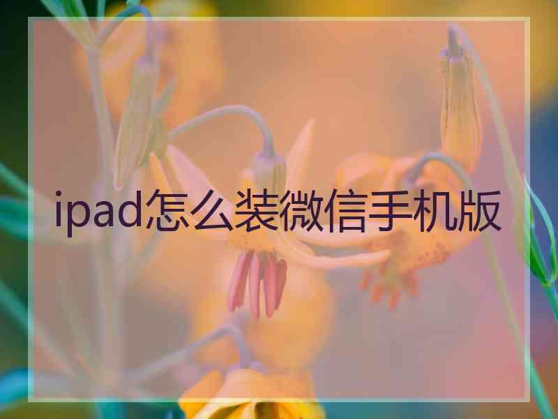 ipad怎么装微信手机版