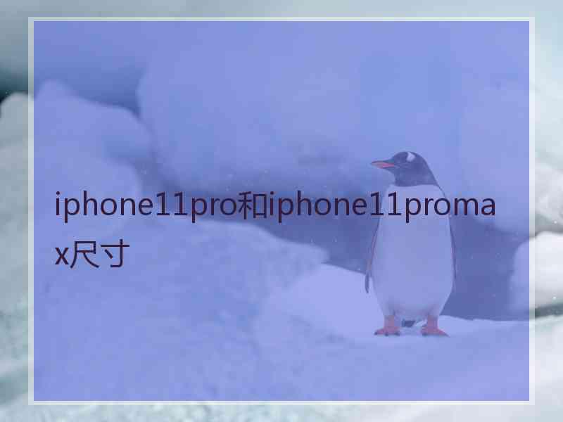 iphone11pro和iphone11promax尺寸