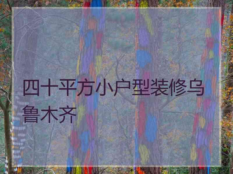 四十平方小户型装修乌鲁木齐