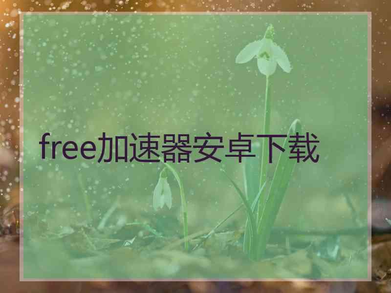 free加速器安卓下载