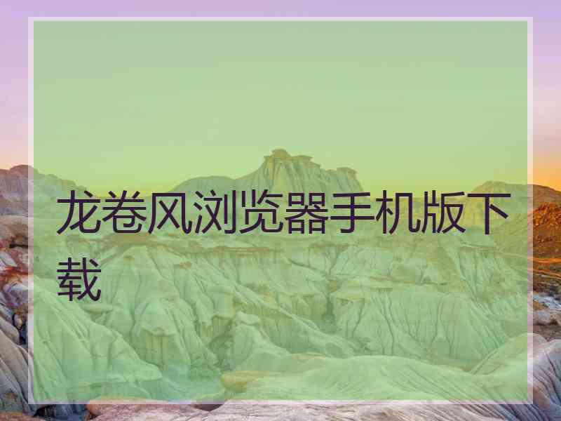 龙卷风浏览器手机版下载