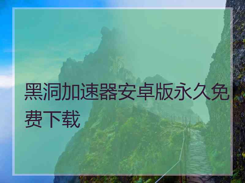 黑洞加速器安卓版永久免费下载