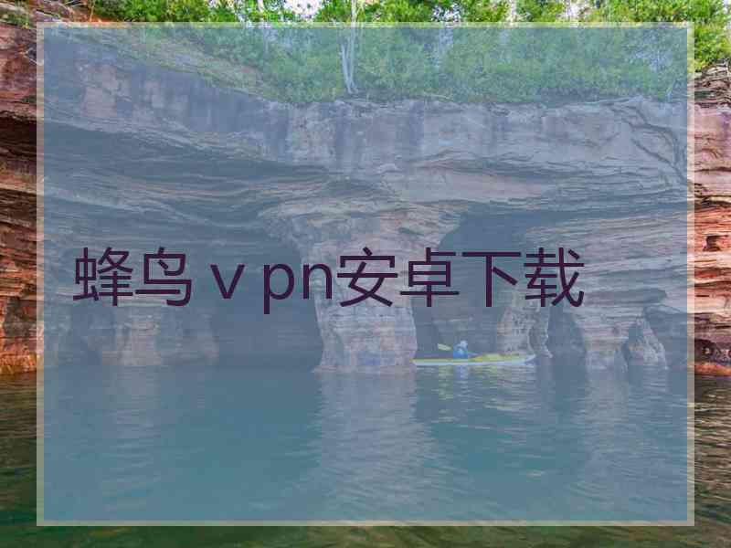 蜂鸟ⅴpn安卓下载