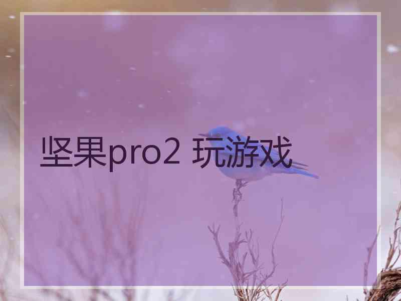 坚果pro2 玩游戏