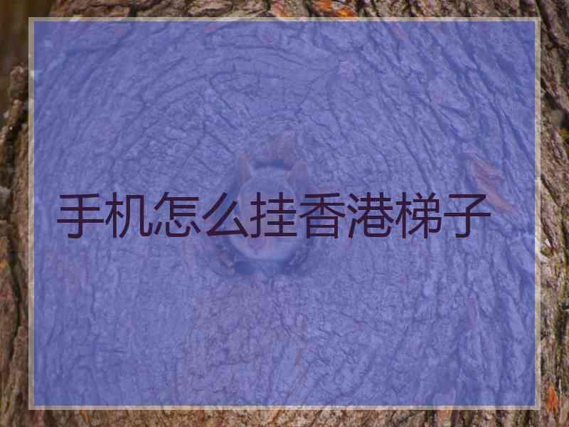 手机怎么挂香港梯子