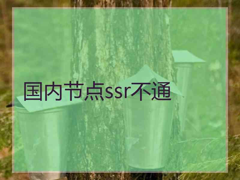 国内节点ssr不通