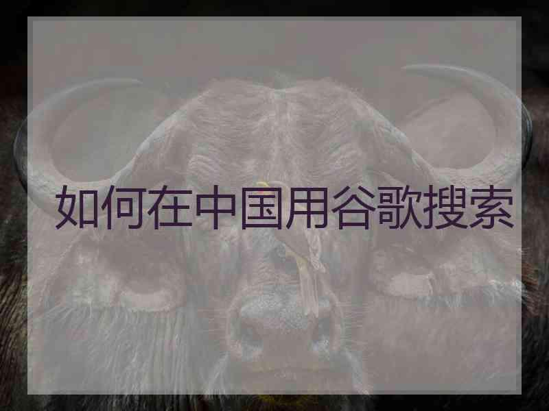 如何在中国用谷歌搜索