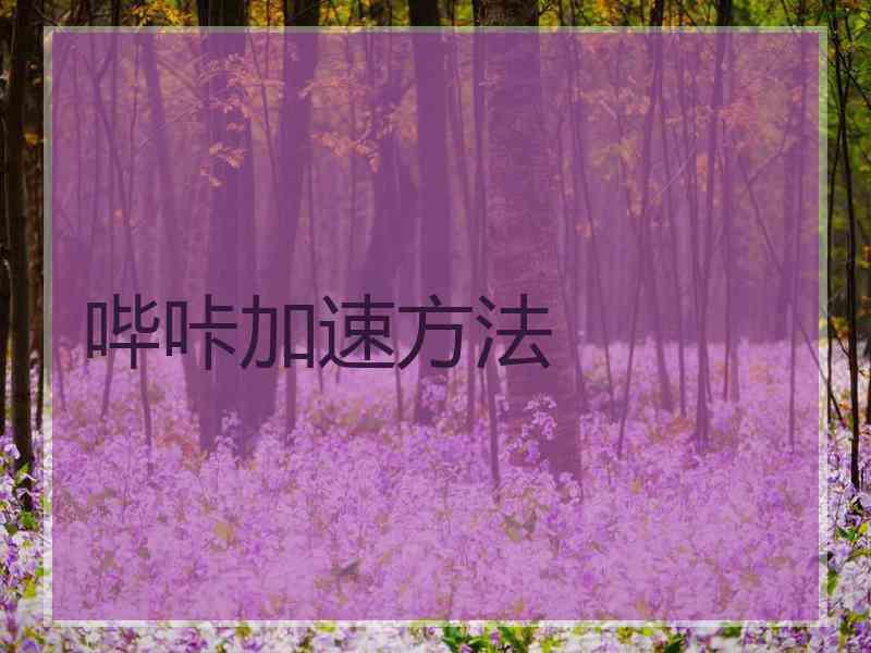 哔咔加速方法