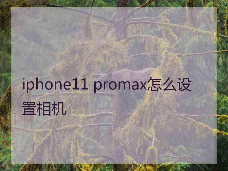 iphone11 promax怎么设置相机