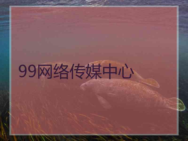 99网络传媒中心