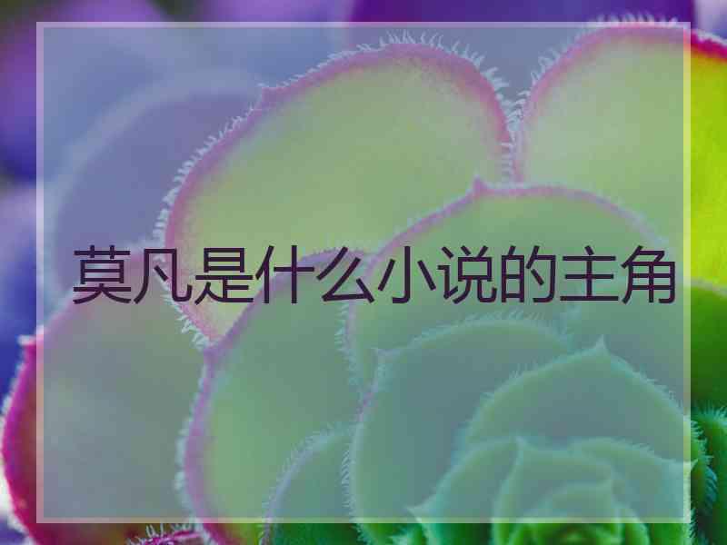 莫凡是什么小说的主角