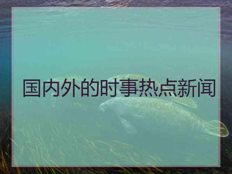 国内外的时事热点新闻
