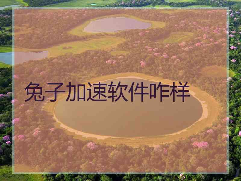 兔子加速软件咋样