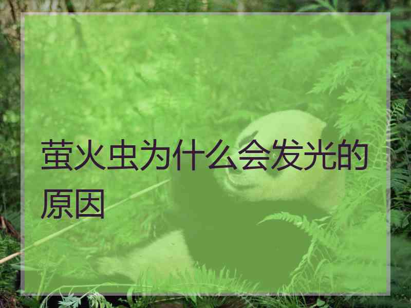 萤火虫为什么会发光的原因
