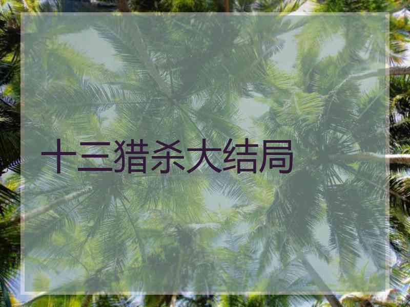 十三猎杀大结局