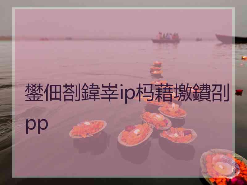 鐢佃剳鍏峷ip杩藉墽鐨刟pp