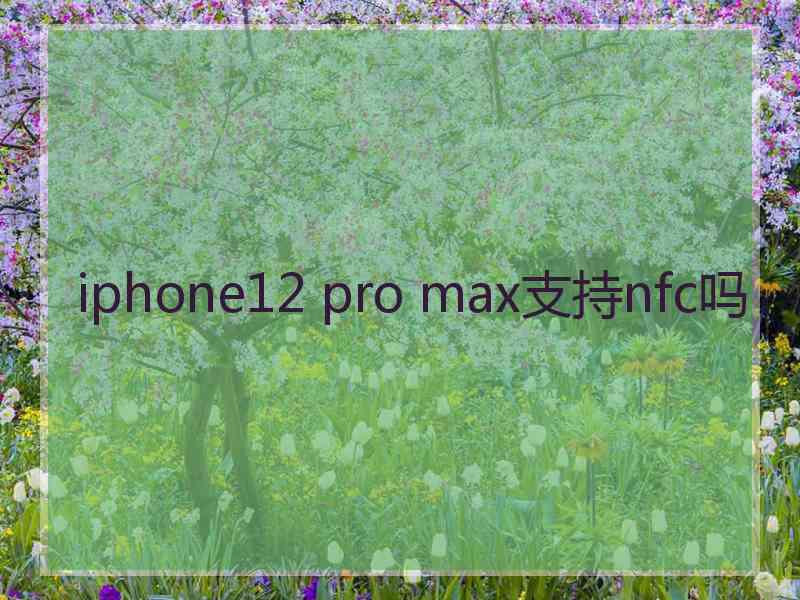 iphone12 pro max支持nfc吗
