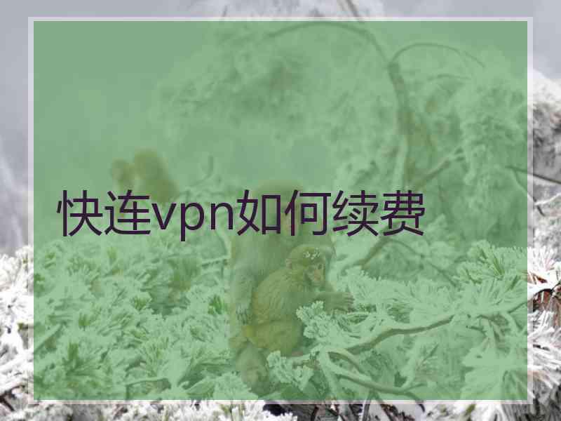 快连vpn如何续费