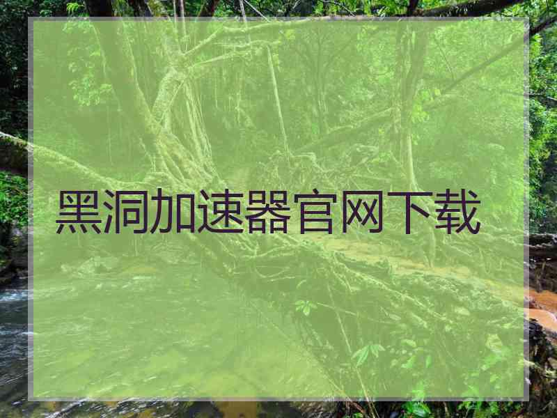 黑洞加速器官网下载