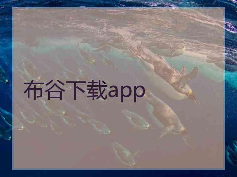 布谷下载app