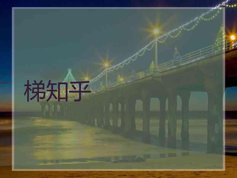 梯知乎