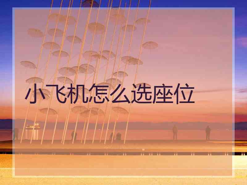 小飞机怎么选座位