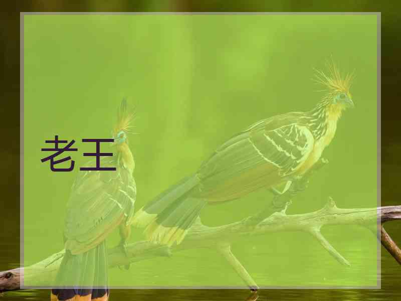 老王