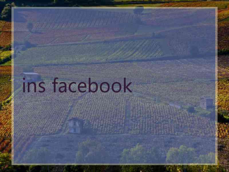 ins facebook