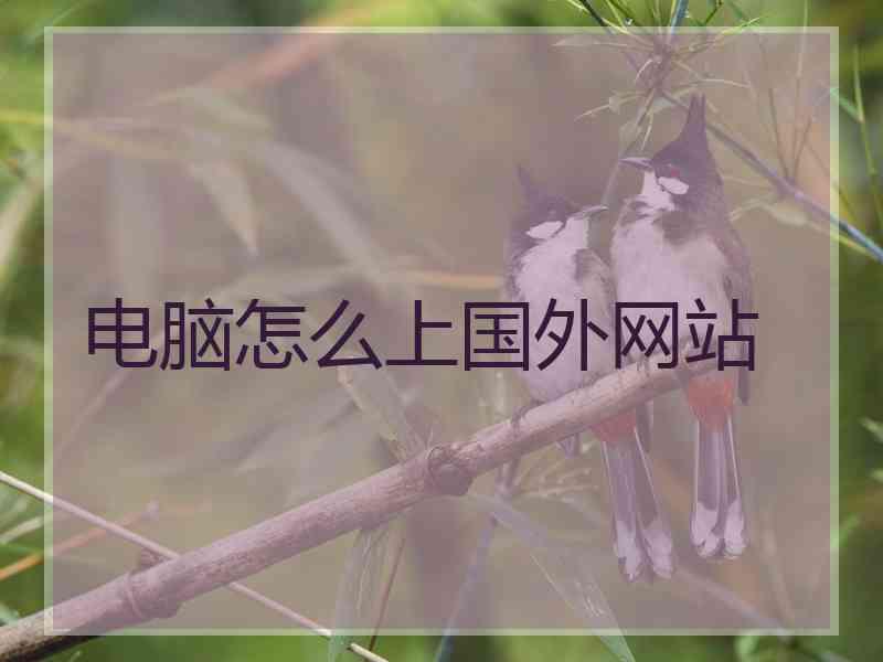 电脑怎么上国外网站