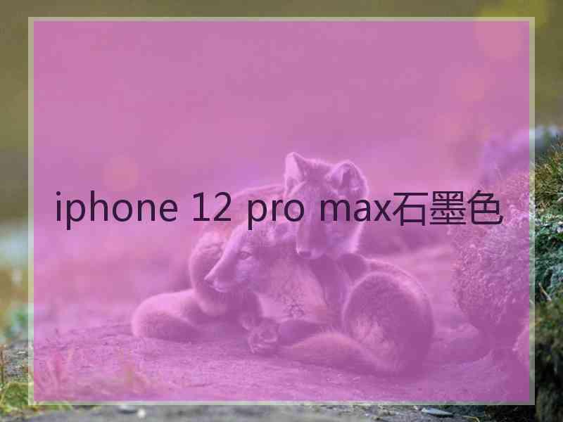 iphone 12 pro max石墨色