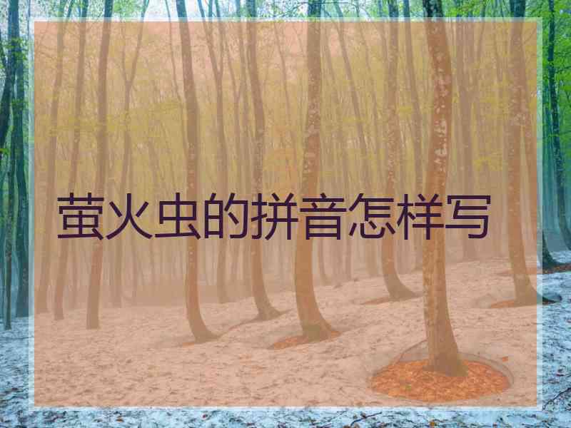 萤火虫的拼音怎样写