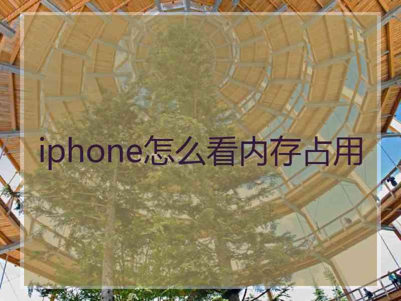 iphone怎么看内存占用