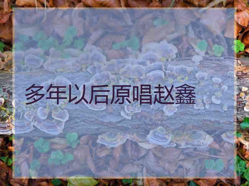 多年以后原唱赵鑫