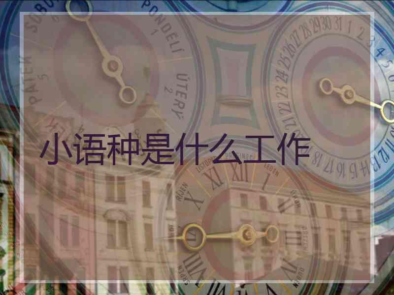 小语种是什么工作