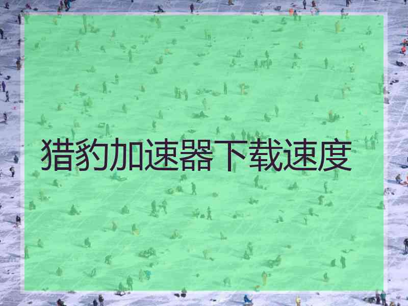 猎豹加速器下载速度
