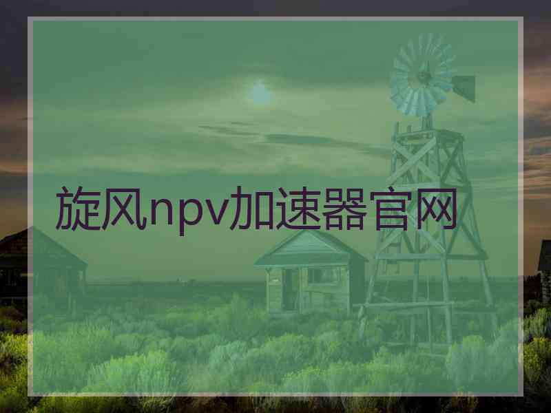 旋风npv加速器官网