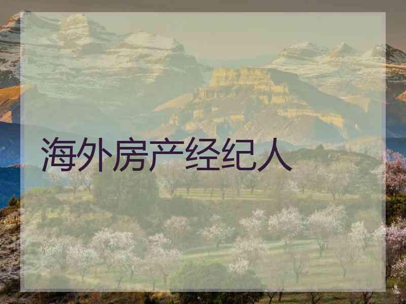 海外房产经纪人