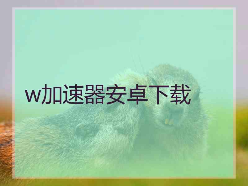 w加速器安卓下载