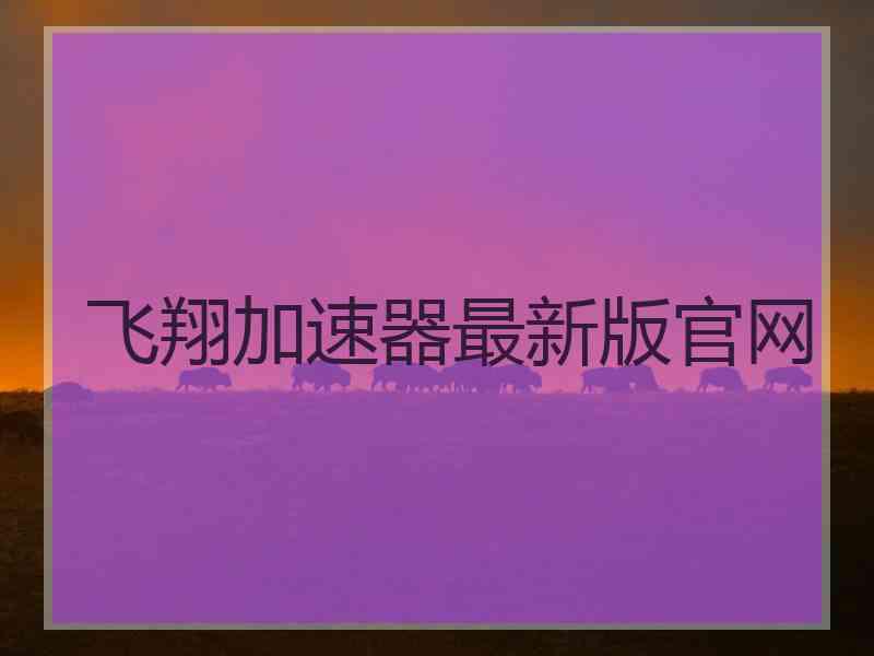 飞翔加速器最新版官网