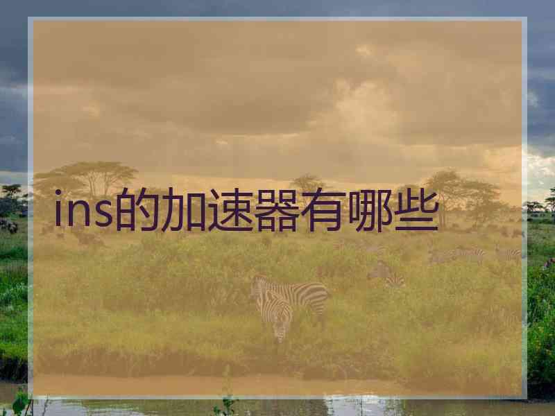 ins的加速器有哪些