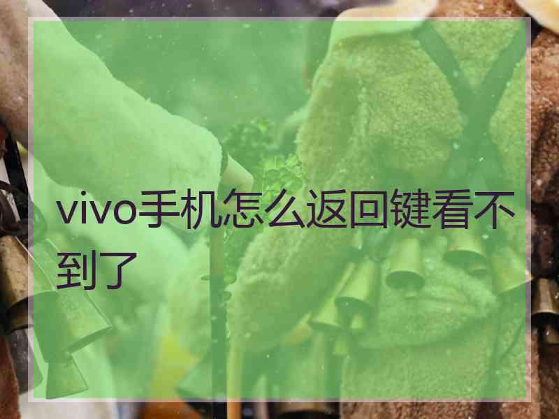 vivo手机怎么返回键看不到了