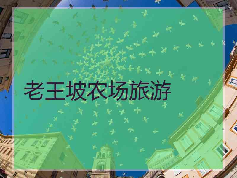 老王坡农场旅游