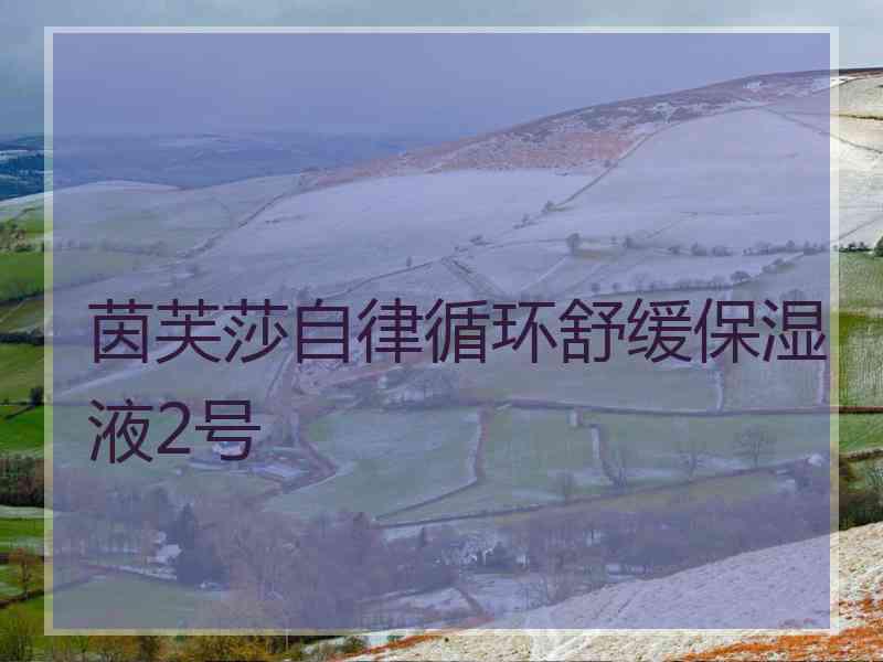 茵芙莎自律循环舒缓保湿液2号