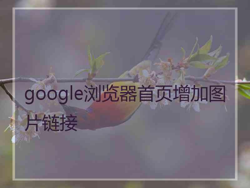 google浏览器首页增加图片链接