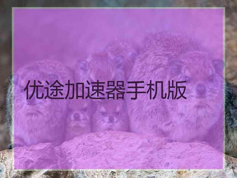 优途加速器手机版