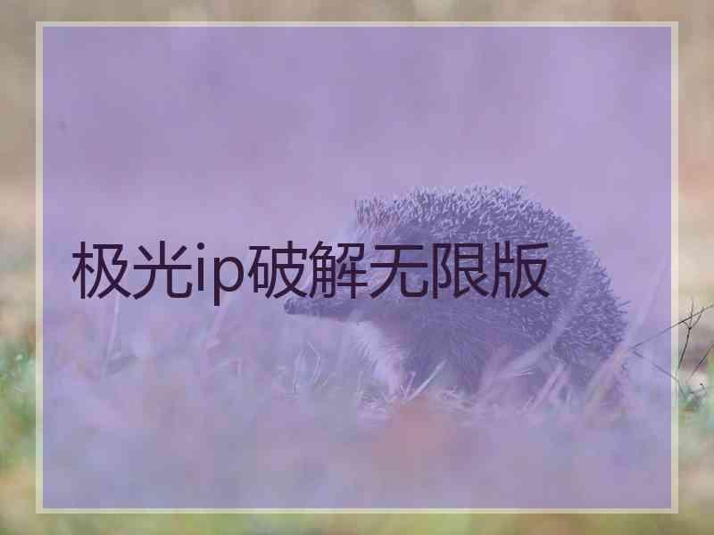 极光ip破解无限版