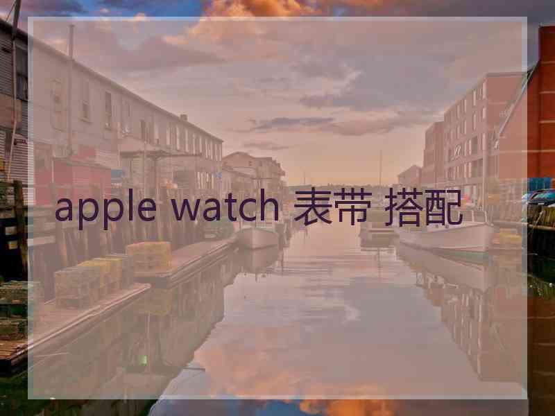 apple watch 表带 搭配